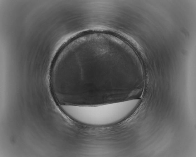 X0000111171327200907221020