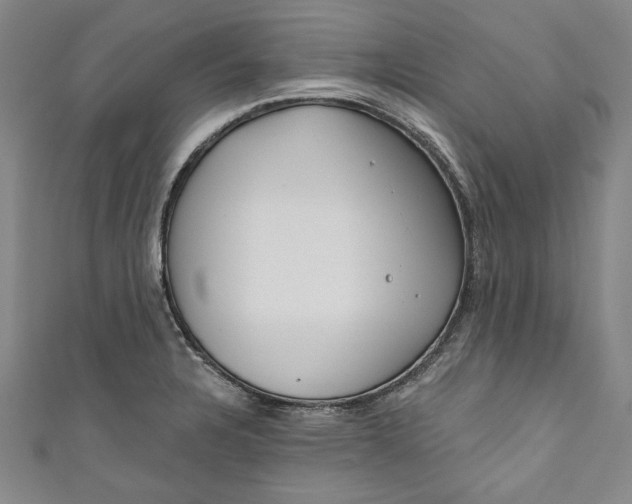 X0000111171328200907221020