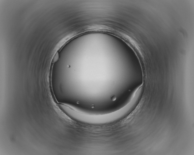 X0000111171330200907221020