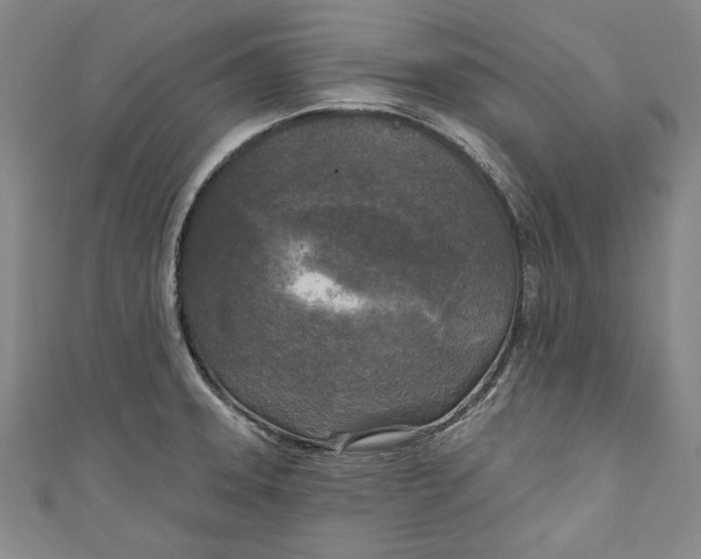 X0000111171331200907221020