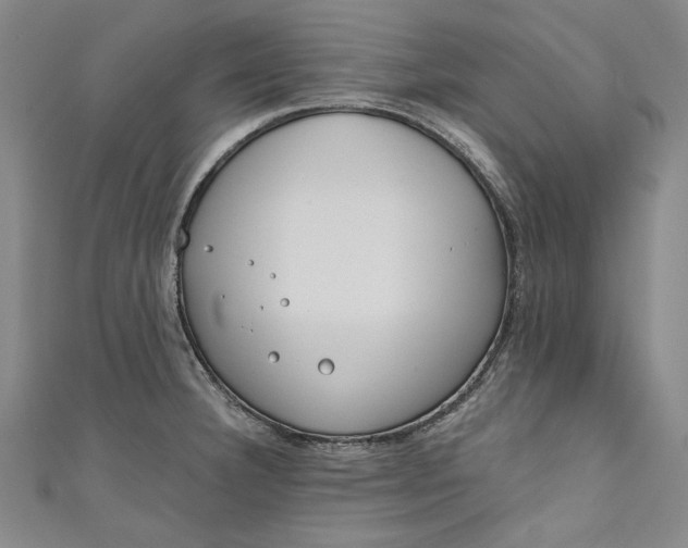 X0000111171332200907221020