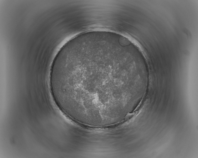 X0000111171333200907221020