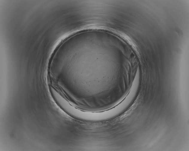 X0000111171334200907221020