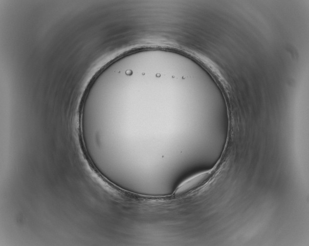 X0000111171335200907221020