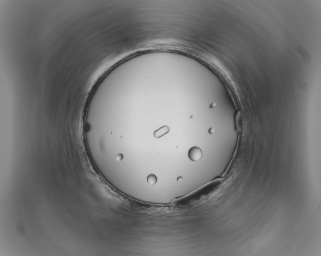 X0000111171336200907221020