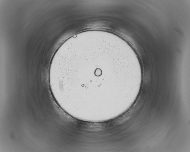 X0000111171338200907221020