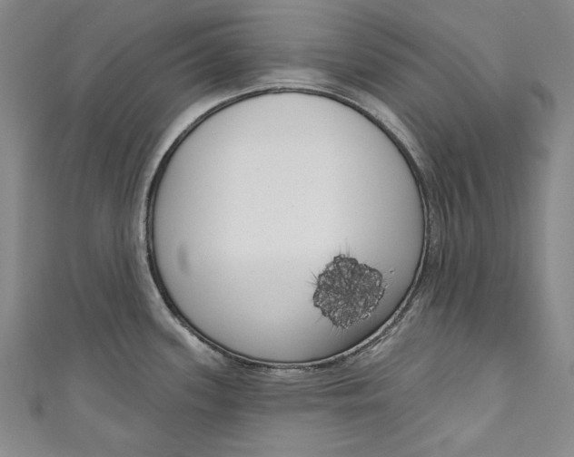 X0000111171339200907221020