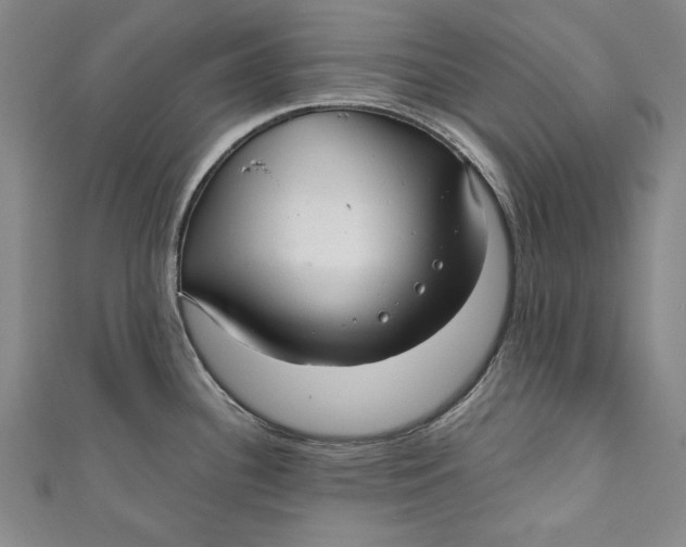 X0000111171340200907221020