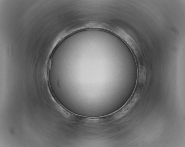 X0000111171342200907221020