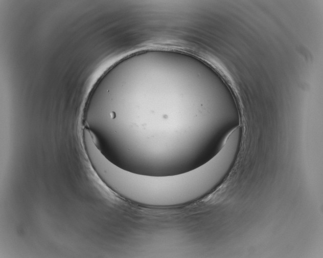 X0000111171344200907221020