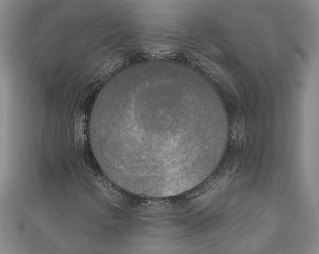 X0000111171346200907221019