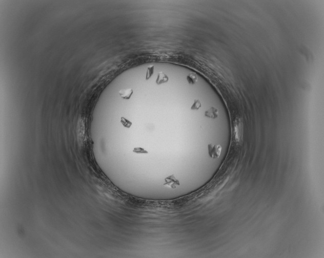 X0000111171347200907221019