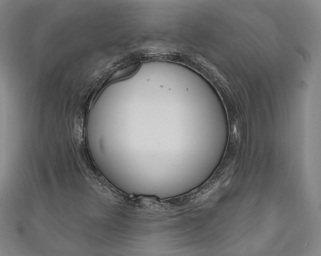 X0000111171348200907221019