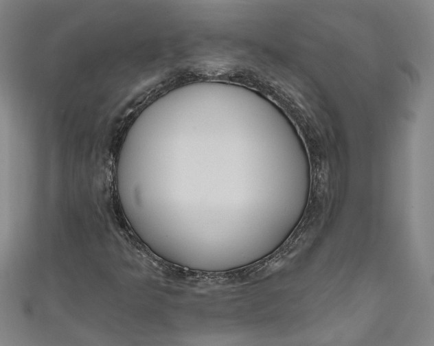 X0000111171349200907221019