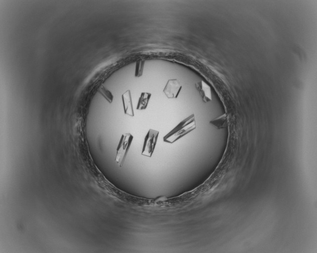 X0000111171351200907221019