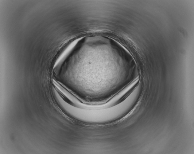 X0000111171353200907221019