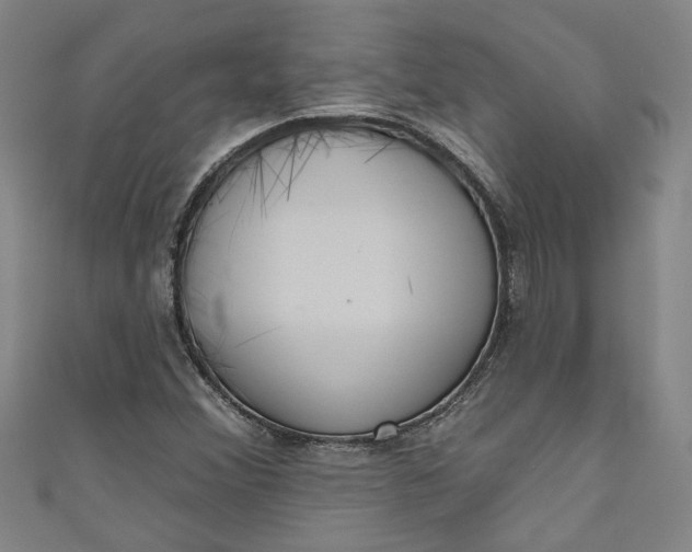 X0000111171356200907221019