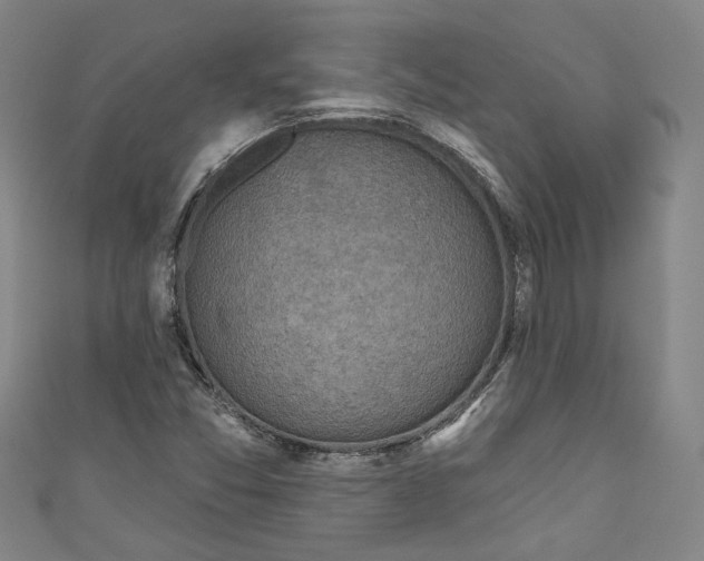 X0000111171357200907221019