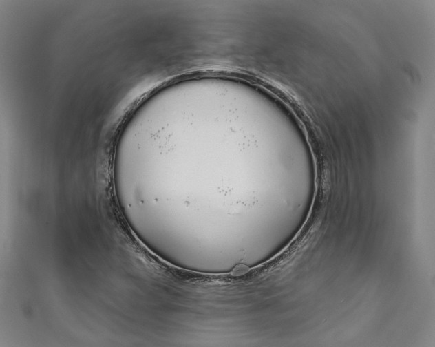 X0000111171359200907221019