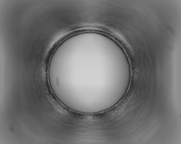 X0000111171360200907221019