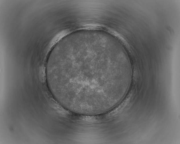 X0000111171362200907221019