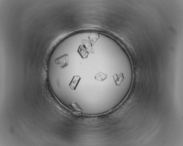 X0000111171363200907221019