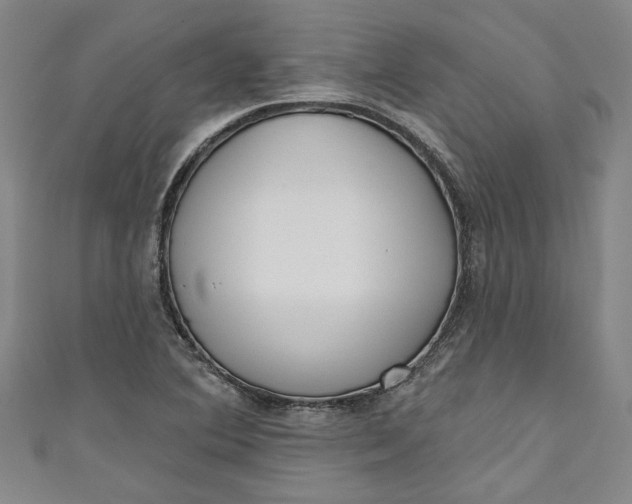 X0000111171364200907221019