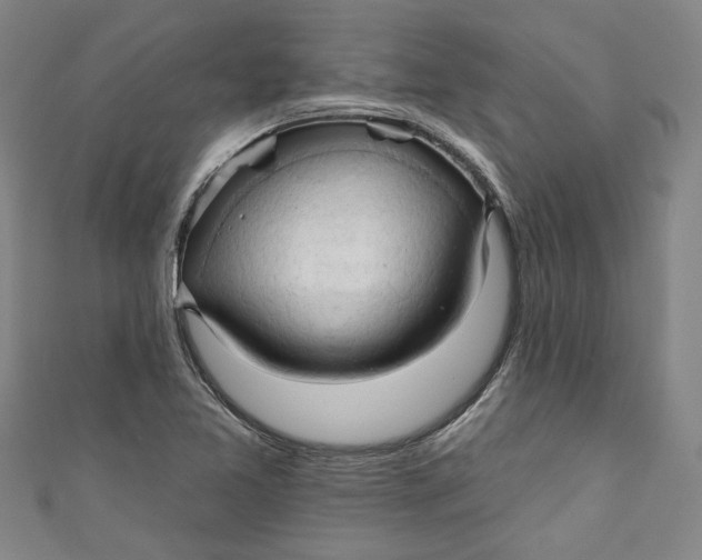 X0000111171365200907221019