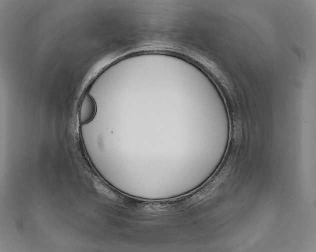 X0000111171366200907221019