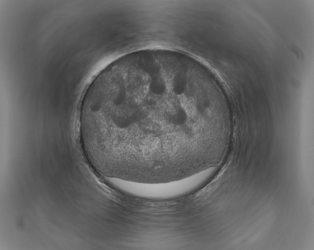 X0000111171367200907221019