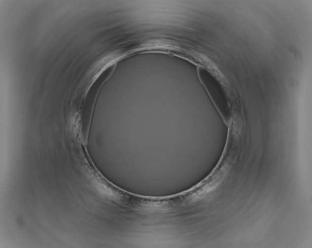 X0000111171369200907221019