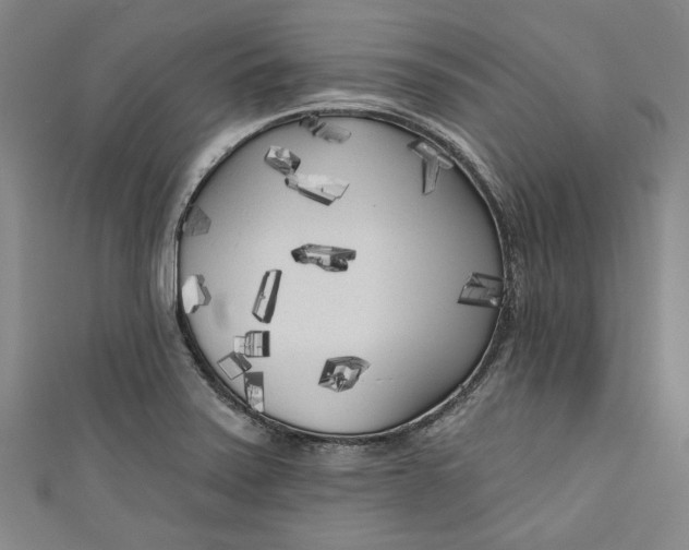 X0000111171371200907221019