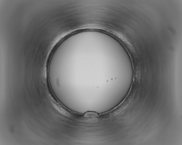 X0000111171372200907221019