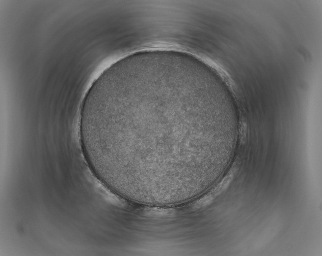 X0000111171374200907221019