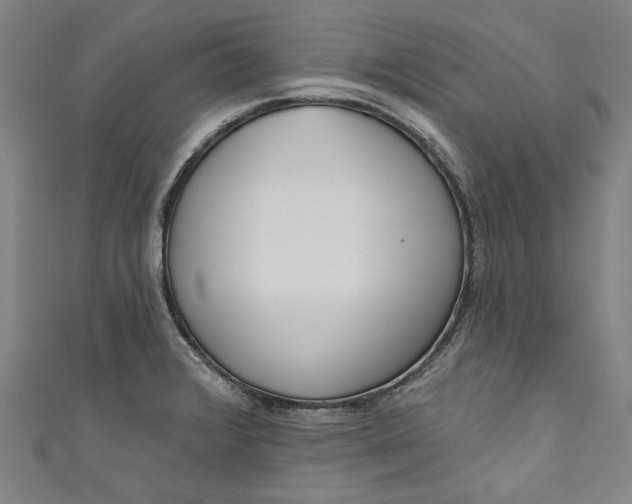 X0000111171376200907221019