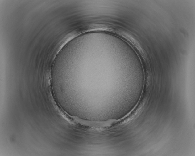 X0000111171377200907221019