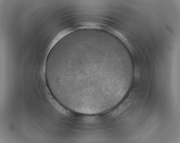 X0000111171378200907221019