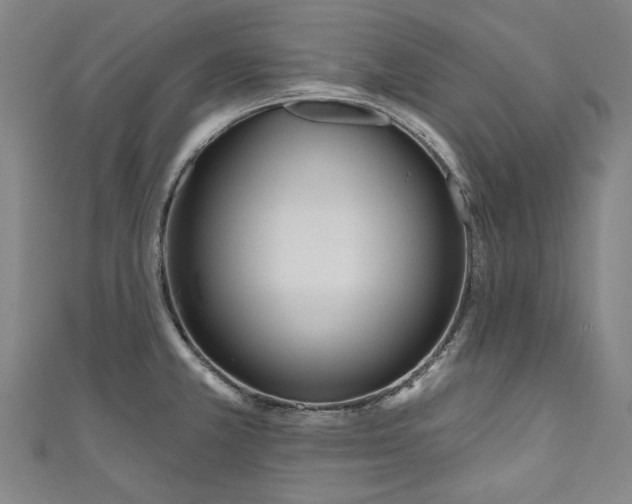 X0000111171381200907221019