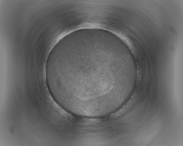 X0000111171382200907221019