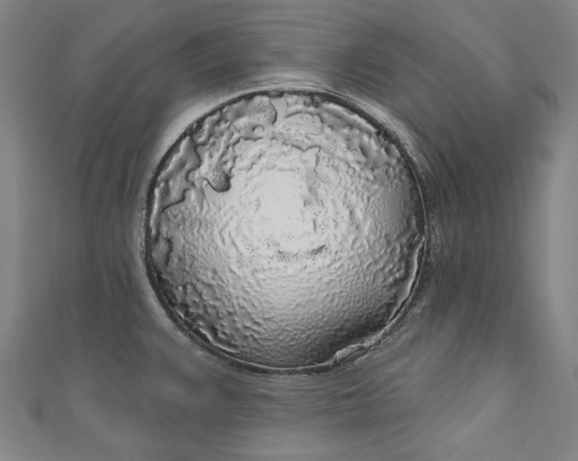 X0000111171383200907221019