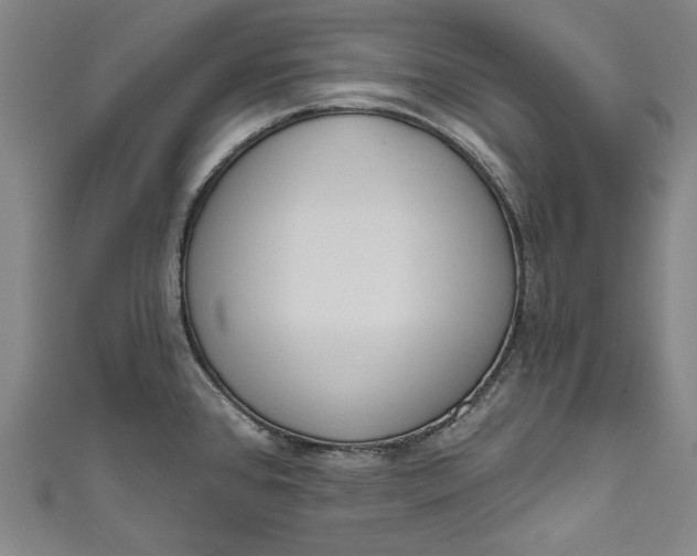 X0000111171384200907221019