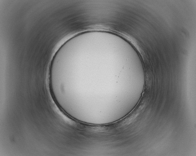 X0000111171387200907221019