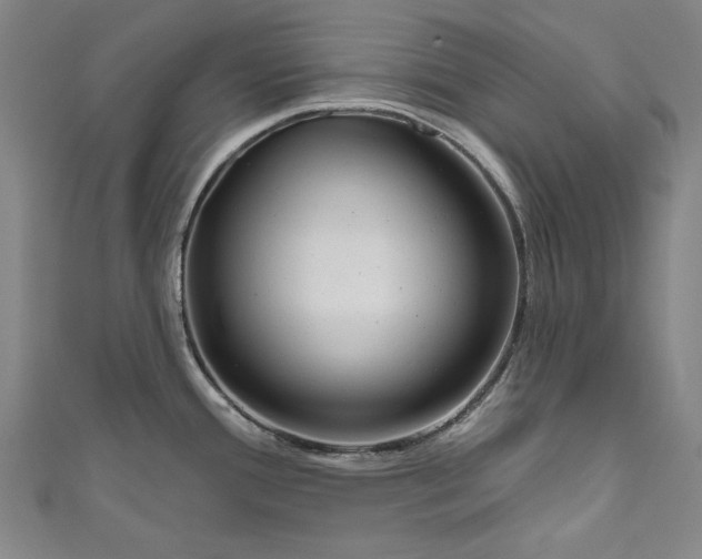 X0000111171388200907221019