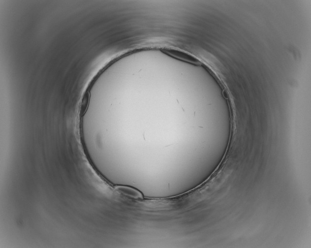 X0000111171392200907221019