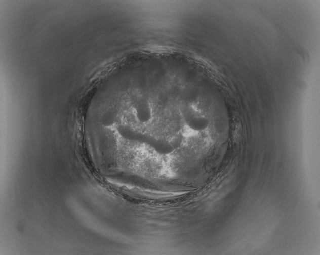 X0000111171397200907221018