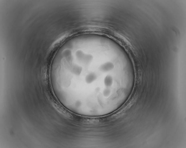 X0000111171403200907221018