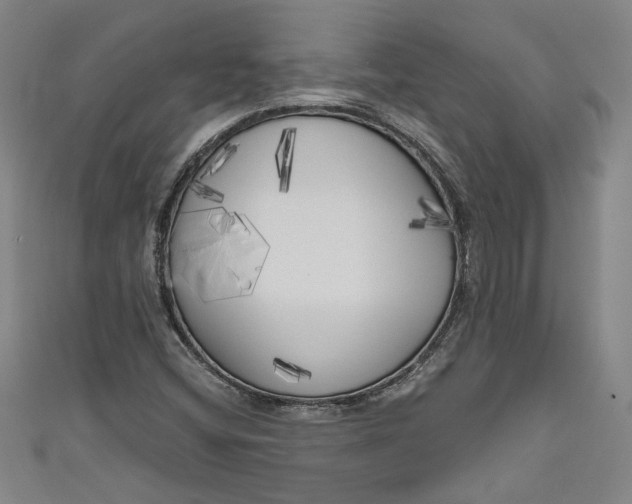 X0000111171404200907221018