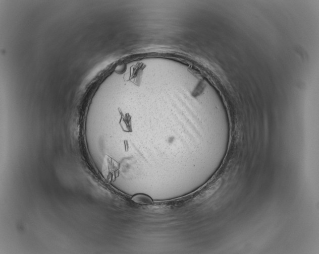 X0000111171406200907221018