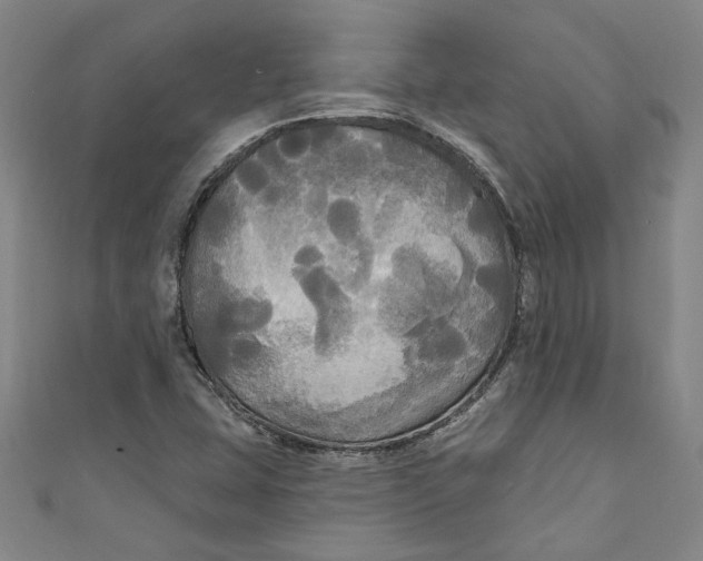 X0000111171407200907221018