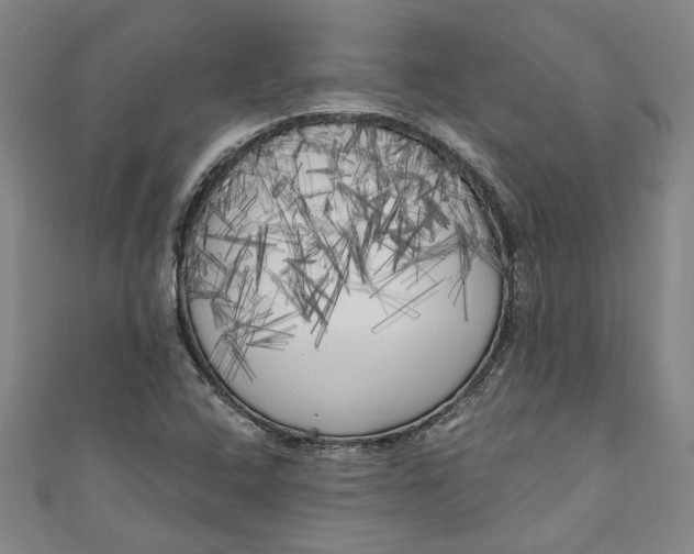 X0000111171408200907221018